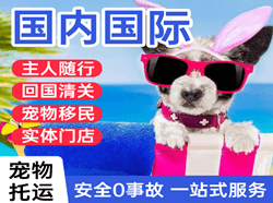 大庆空运地址国际宠物托运 【国